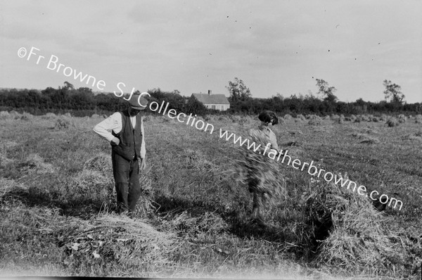 HARVEST TIME IN CONASLEE : GLEANING